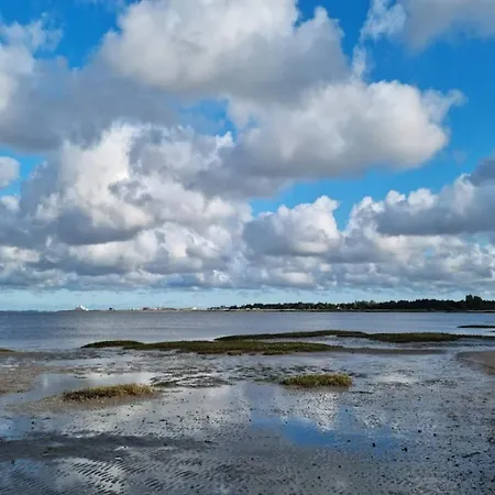 4 Star In Romo-by Traum Sønderby