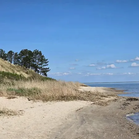 4 Star In Romo-by Traum